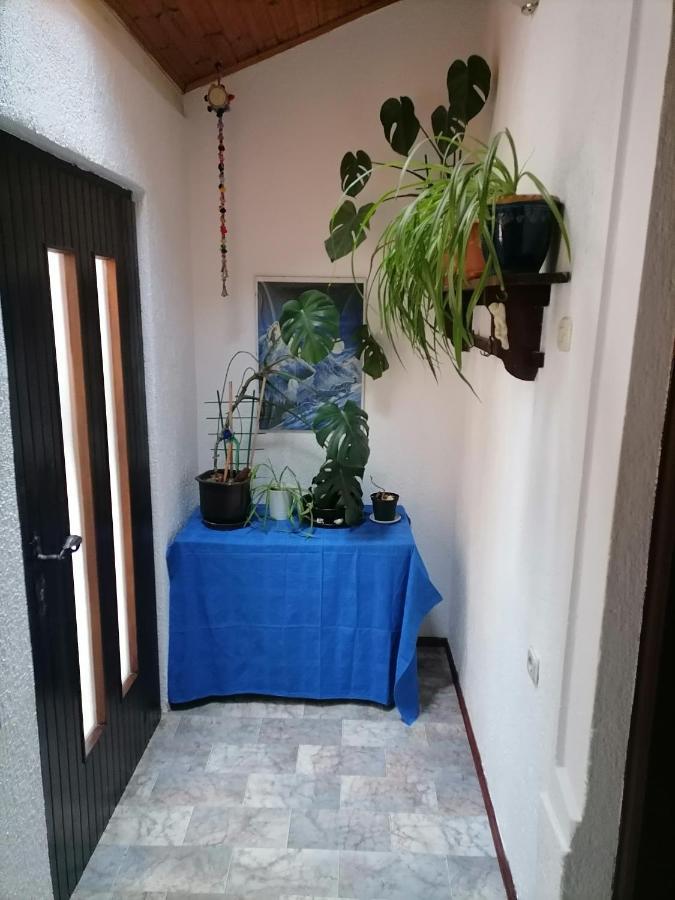Zepina Apartment *